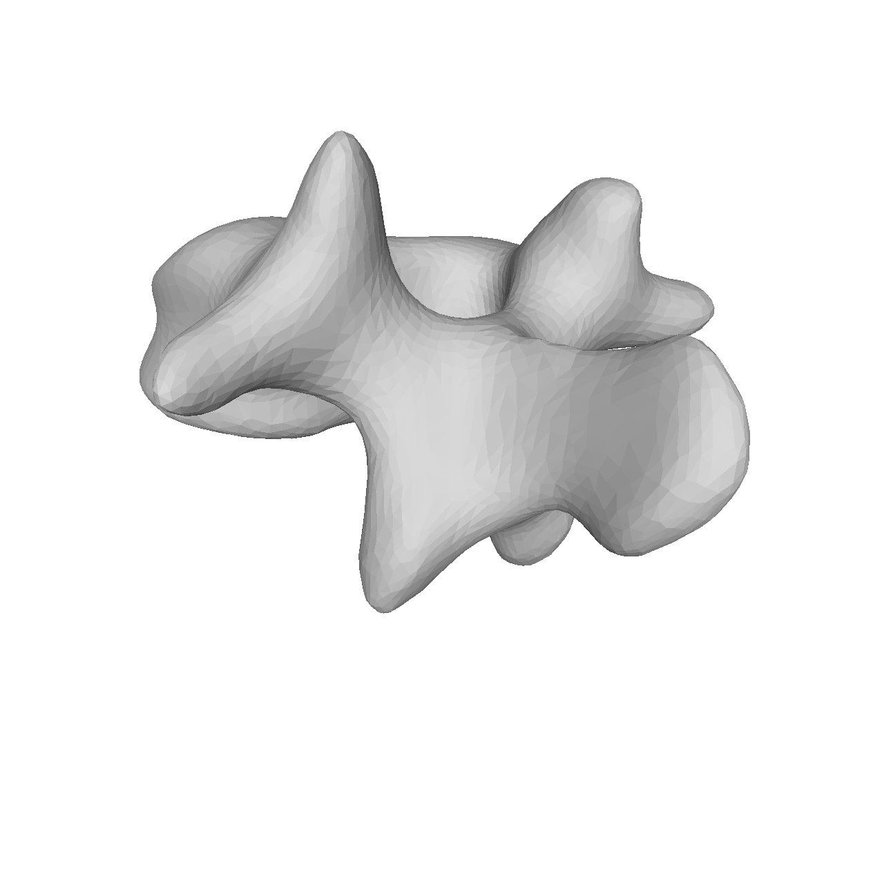 Vertebrae smoothened