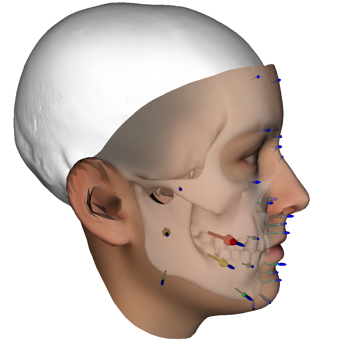Probabilistic Joint Face-Skull Modelling for Facial Reconstruction